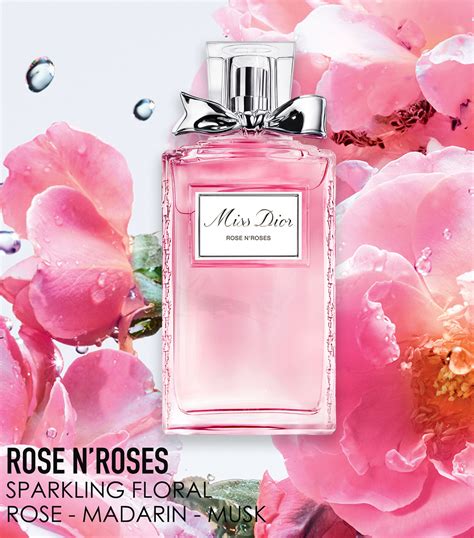 dior rosa parfum|miss dior rose n'roses review.